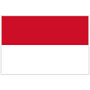 flag (6)